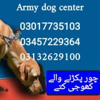 Thumbnail for the listing's main image