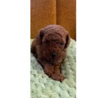 Thumbnail for the listing's main image